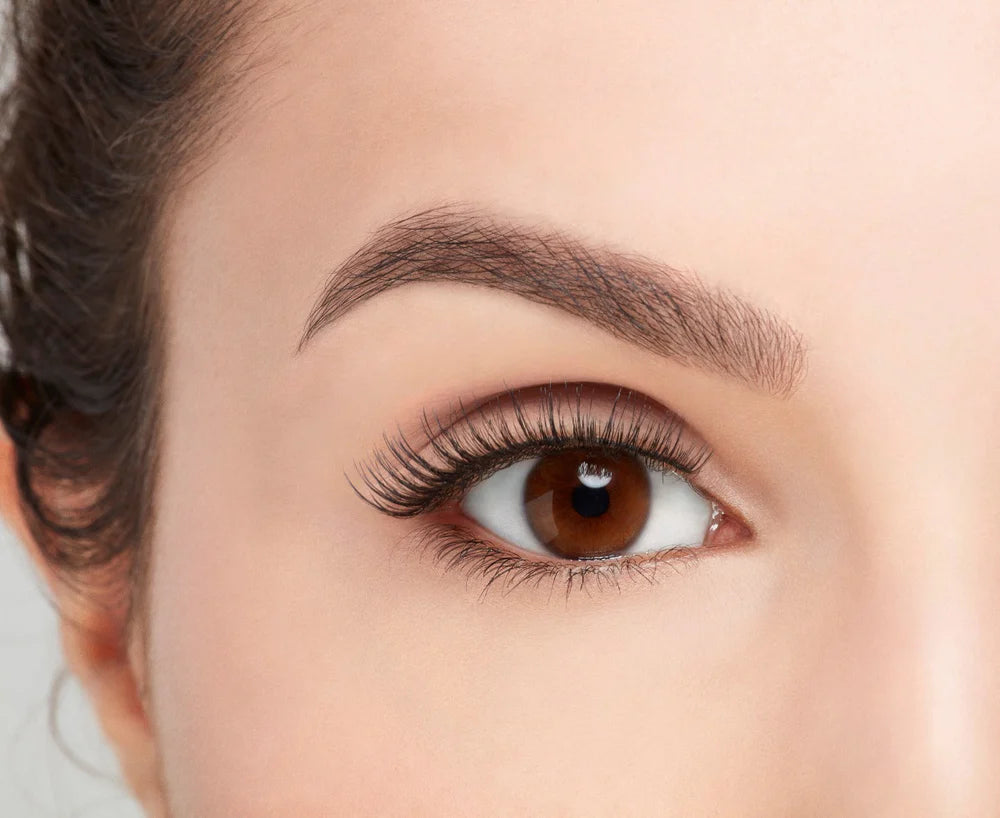 ardell eyelashes double short only sell in bulk 72