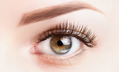 Ardell eyelashes medium black only sell in bulk 72